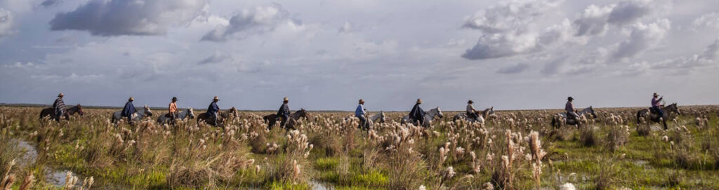 Circuitos y Excursiones en Los Llanos