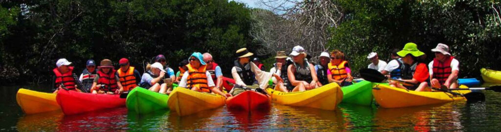 Excursiones en Kayak en la Isla de Margarita en (2025)