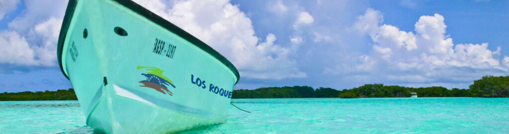 Descubre las Mejores Excursiones, Visitas Guiadas y Actividades en Venezuela con HoverTours