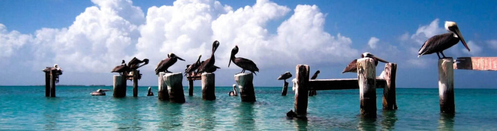 Descubre las Mejores Rutas de Paseo en Venezuela en (2025): Naturaleza, Aventura y Cultura