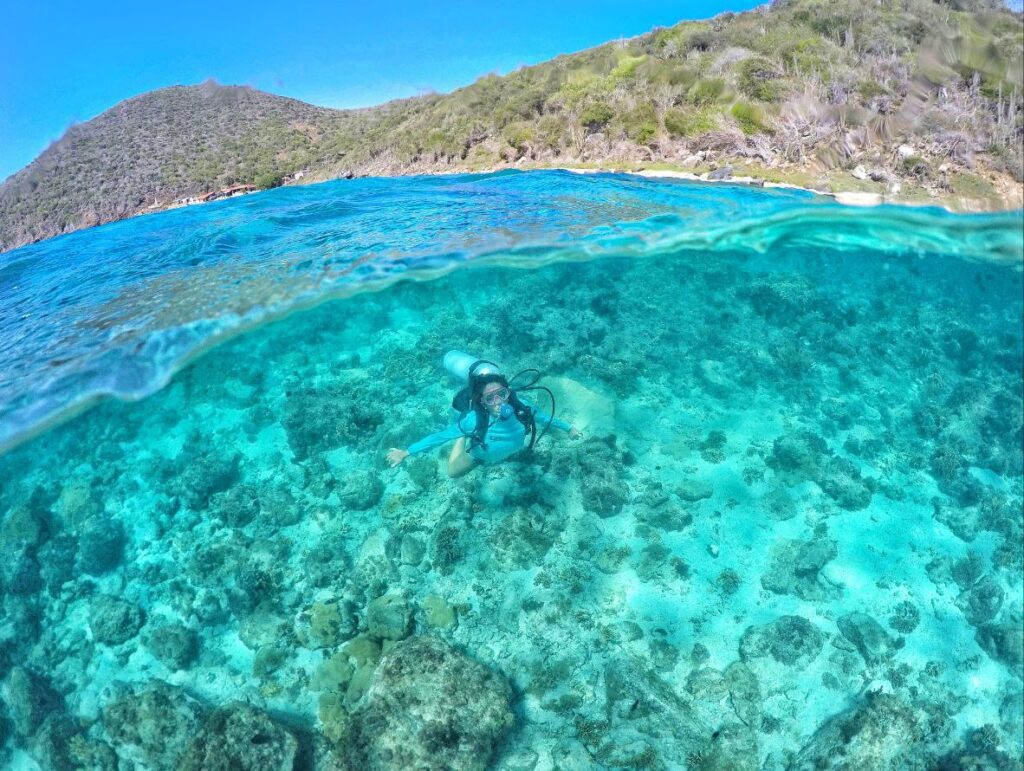 Full Day en Los Frailes: Buceo y Snorkeling